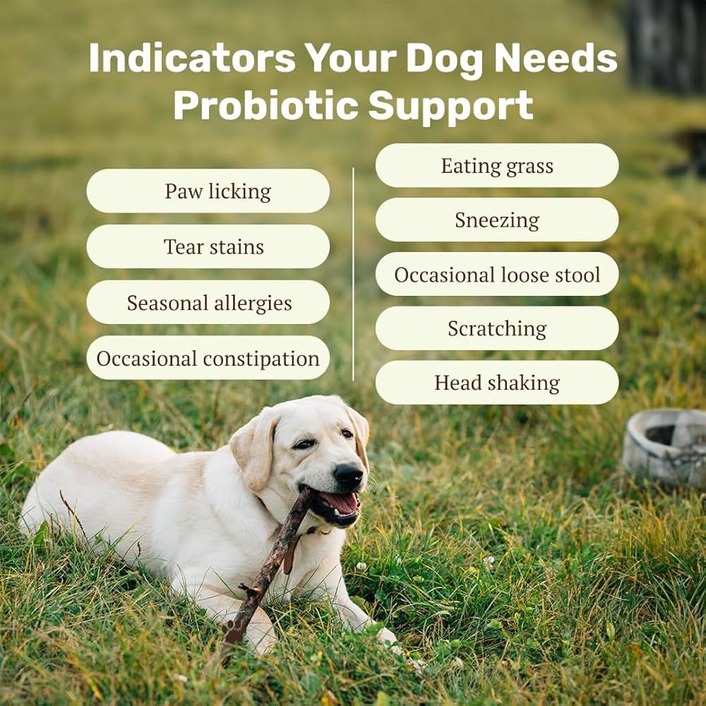 TUMMYCHEWS® - Probiotic Soft Chews
