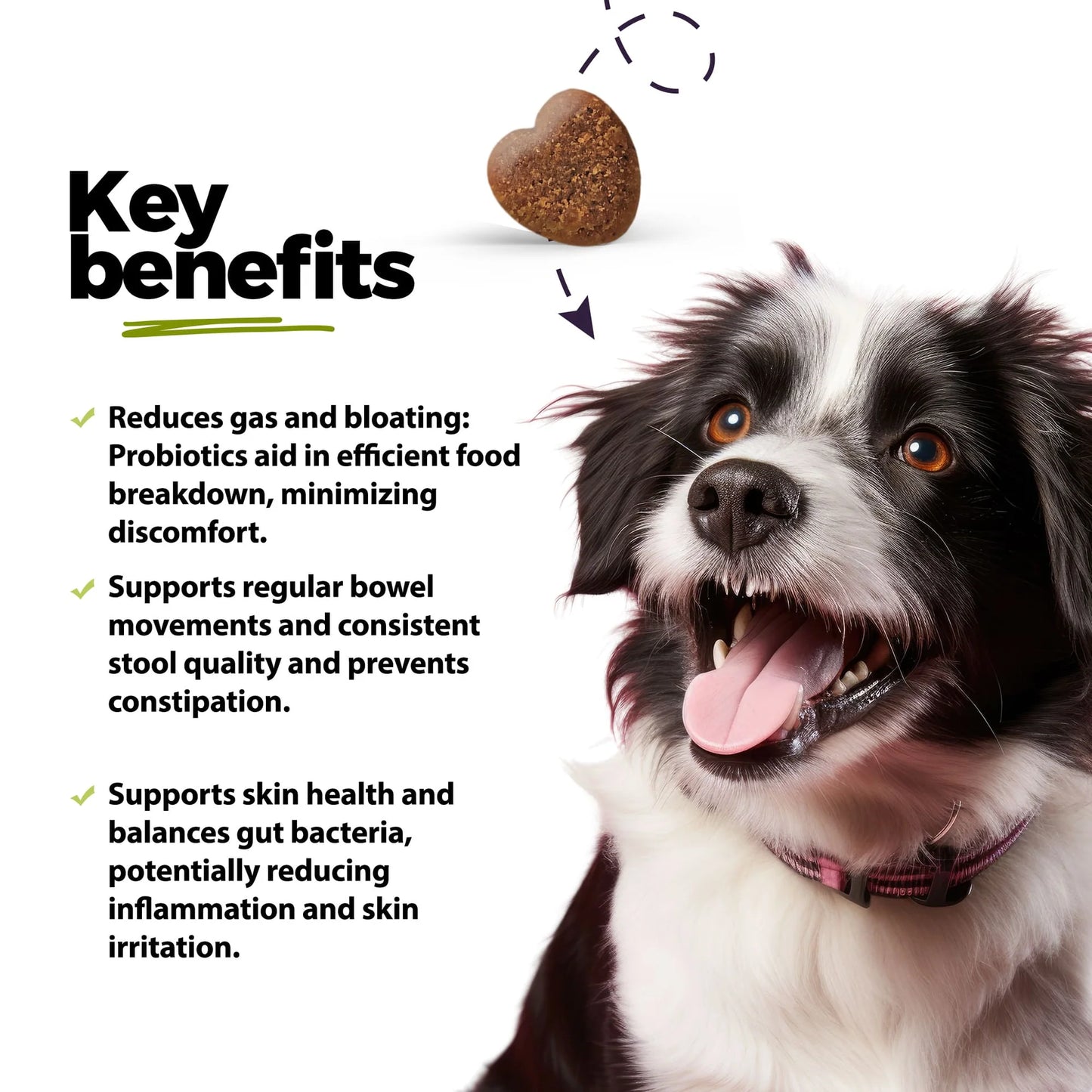 TUMMYCHEWS® - Probiotic Soft Chews