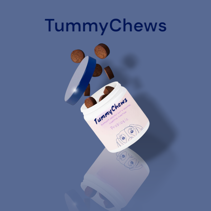 TUMMYCHEWS® - Probiotic Soft Chews